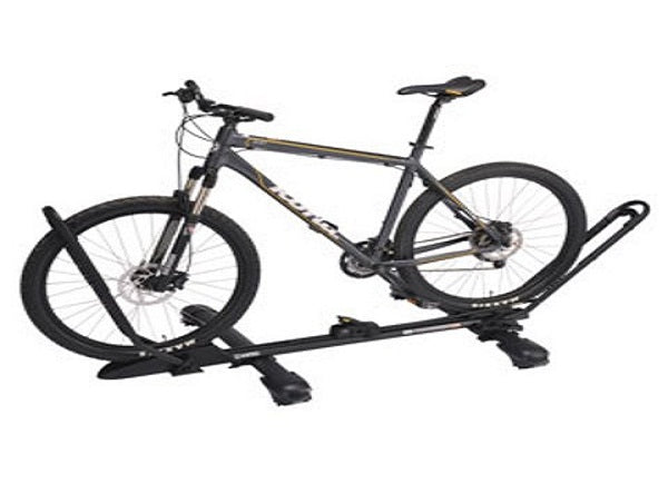 Stay Healthy- Take a Bike Ride