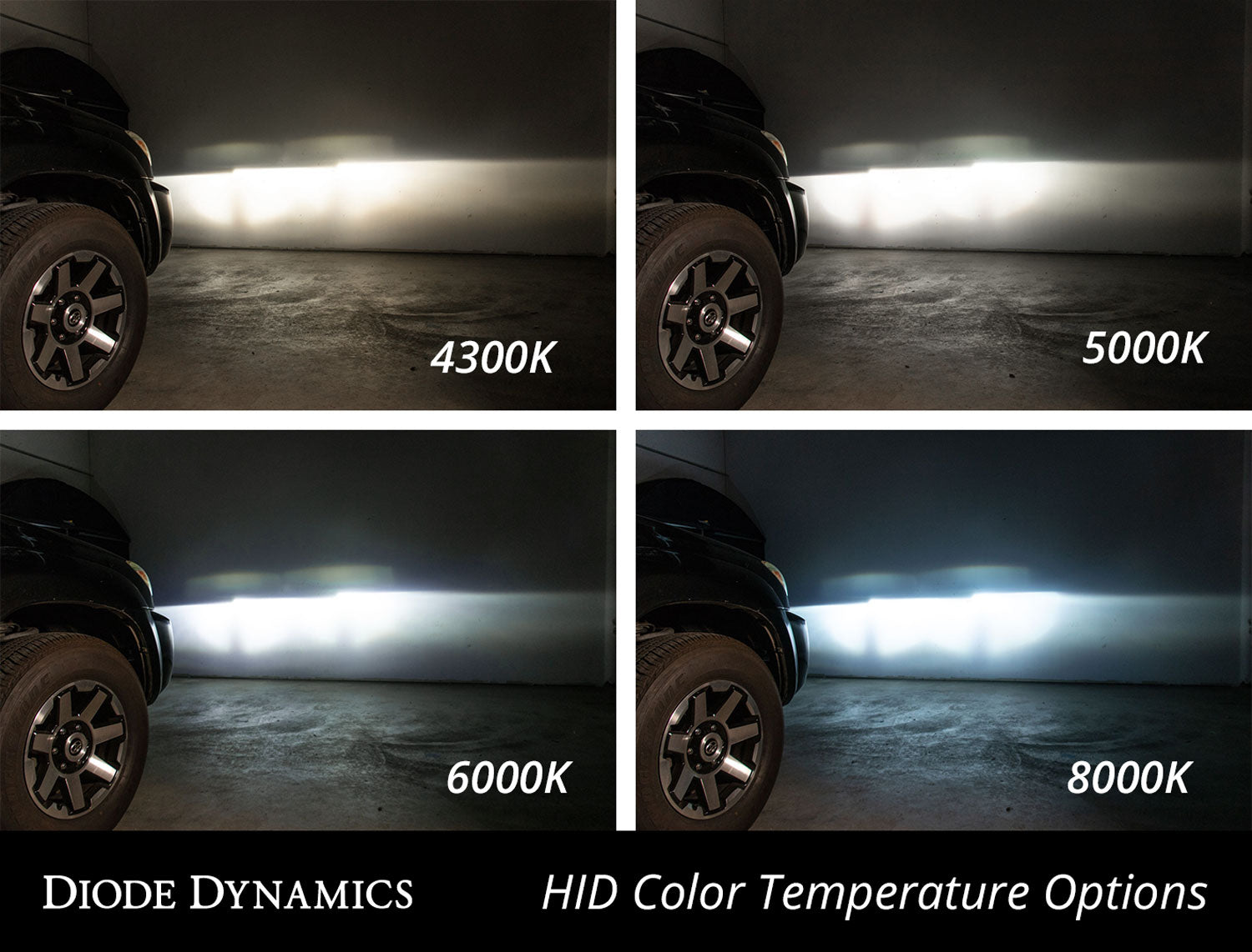 Diode Dynamics HID Bulb D1S 6000K Pair DD1031P