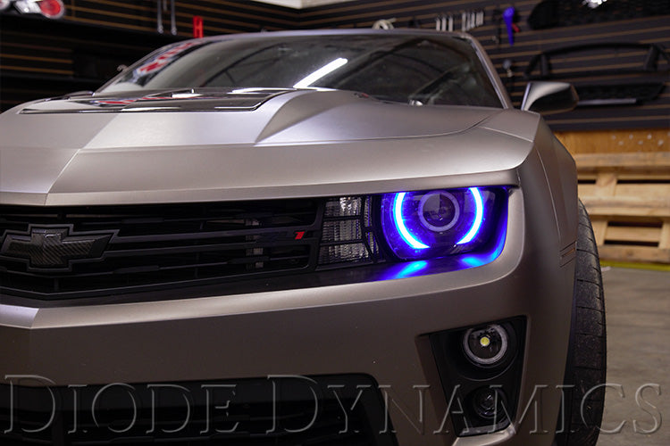Diode Dynamics 2010-2015 2017-2019 Chevrolet Camaro RGBW LED Boards  DD2215