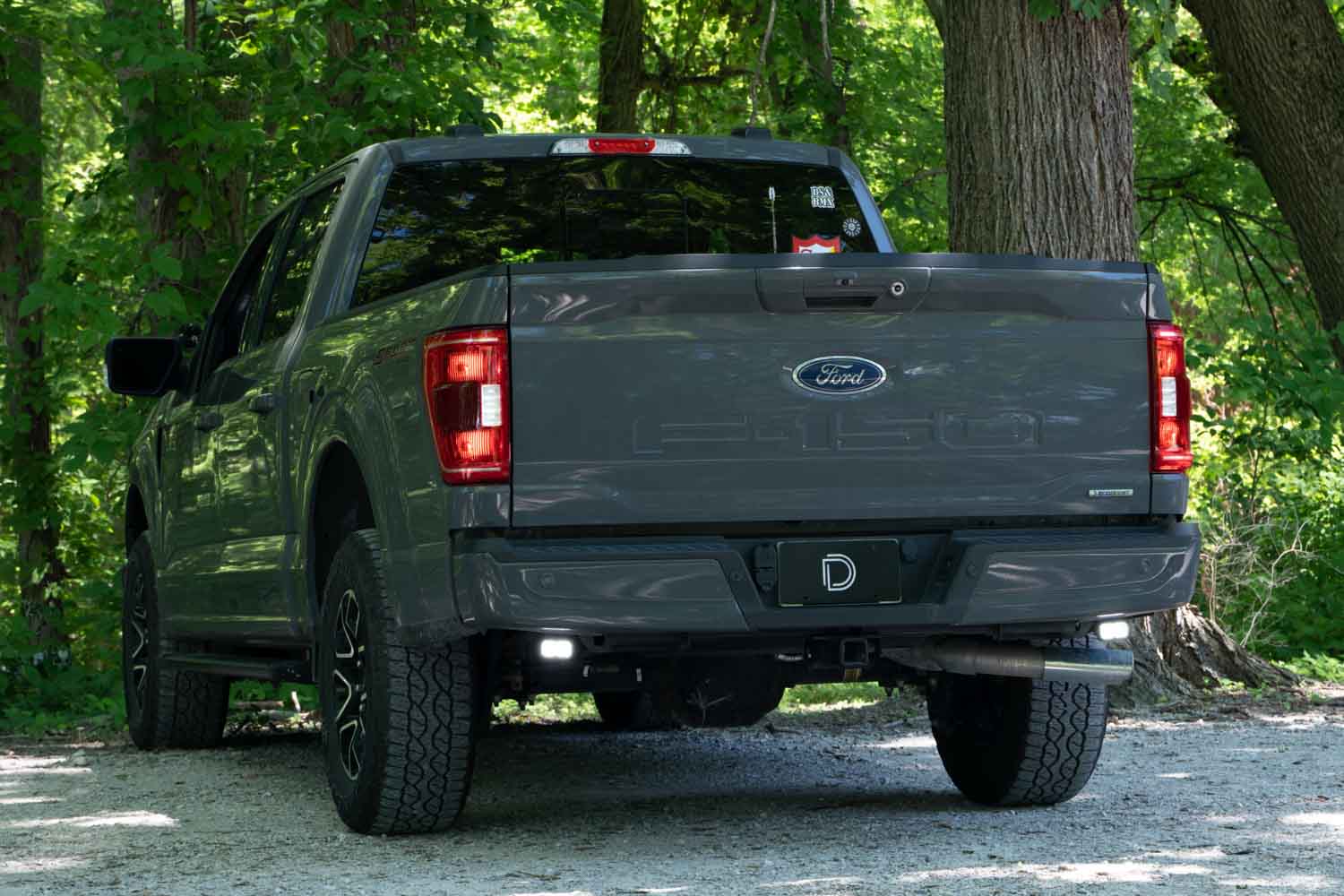 Diode Dynamics 2021-2022 Ford F-150 Stage Series C2 Pro Reverse Light Kit DD7377
