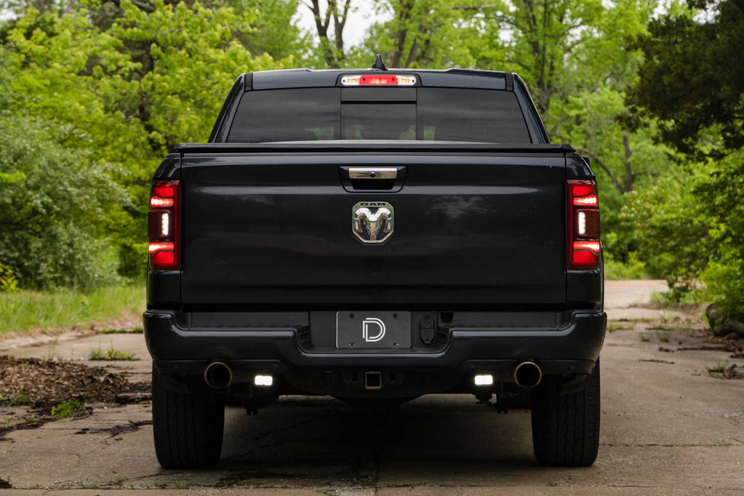 Diode Dynamics 2019-2023 Dodge Ram 1500 C2 Pro Stage Series Reverse Light Kit DD7593