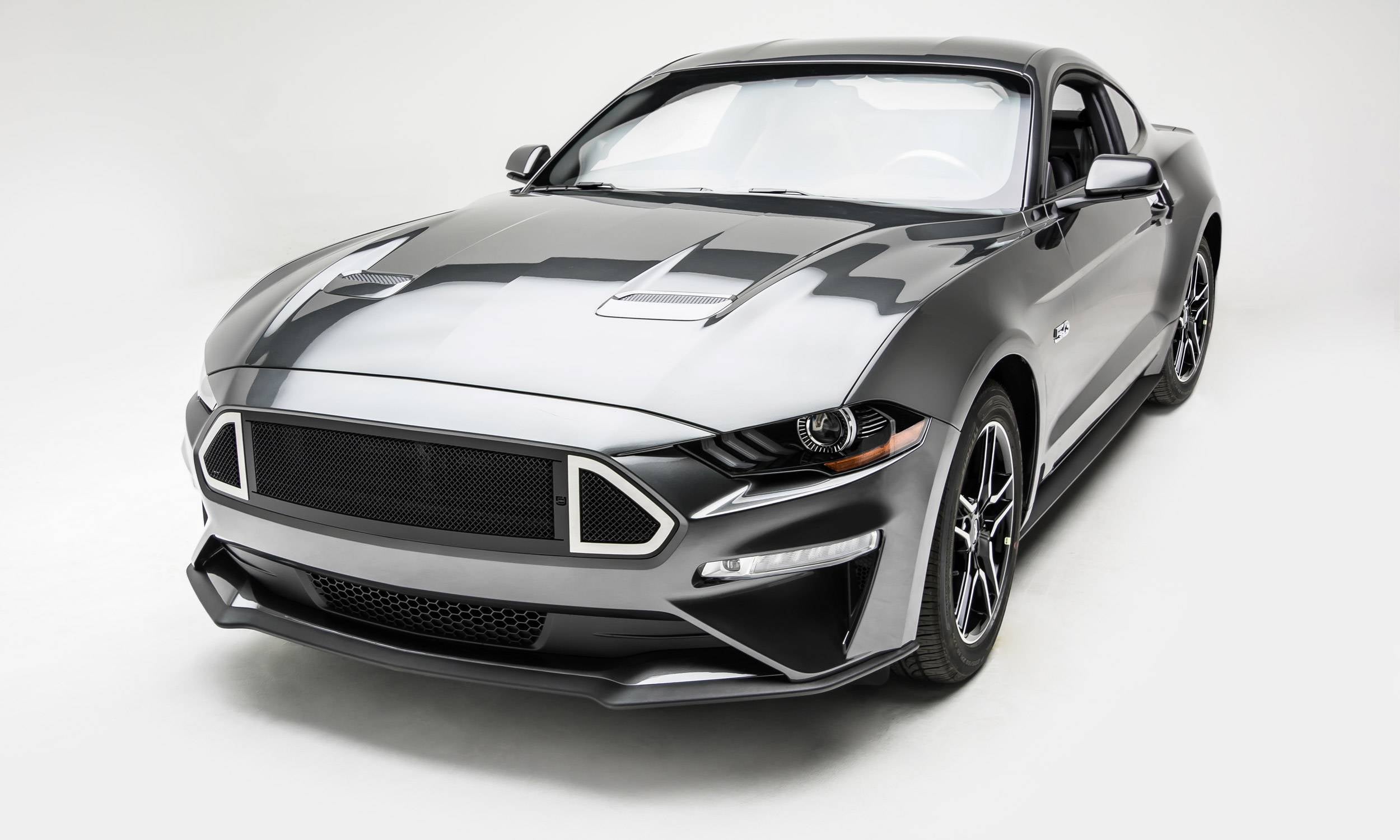 T-Rex 2018-2022 Ford Mustang GT Mild Steel 1 Pc Small Mesh DJ Insert Grille Black No studs DJ10550