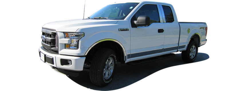 QAA 2015-2020 Ford F-150 12 piece Stainless Rocker Panel Trim Upper Kit TH55317
