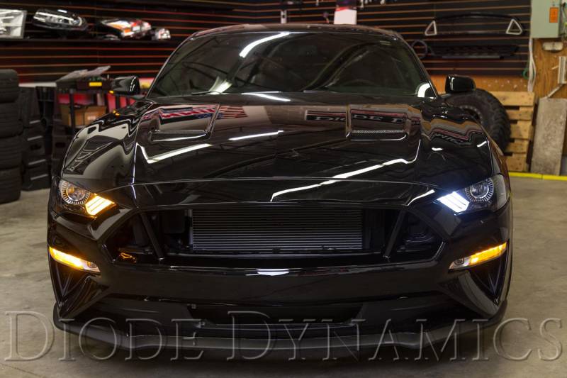 Diode Dynamics 2018-2021 Ford Mustang Switchback DRL LED Boards EU DD2281