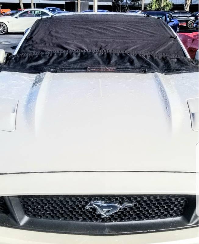 Leaf Protector - Auto Parts Toys