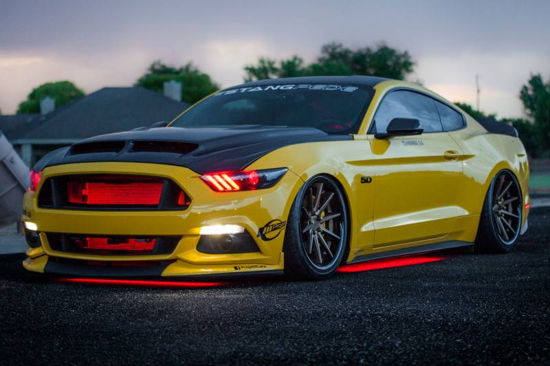 Diode Dynamics RGBW Multicolor Underglow LED Kit DD0442