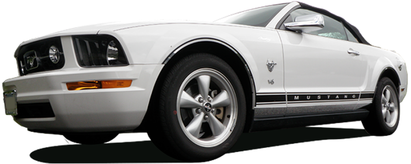 QAA 2005-2009 Ford Mustang 4 piece Molded Stainless Steel Wheel Well Fender Trim Molding WZ45351
